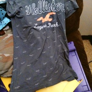 Women's med hollister logo tee nwot